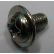 Компьютерный винт "малый" PW-M3x6mm (Реутов)