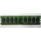 Модуль оперативной памяти 4096Mb DDR2 Patriot PSD24G8002 pc-6400 (800MHz)  (Реутов)