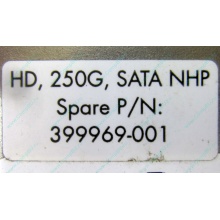 HP 250G 7.2k 432337-001/ 399699-001 / 397377-004 SATA HDD (Реутов)