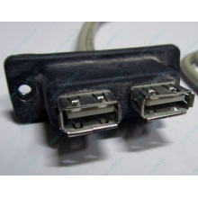 USB-разъемы HP 451784-001 (459184-001) для корпуса HP 5U tower (Реутов)