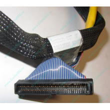 Кабель SCSI HP 166298-037 для HP ML370 G4 (Реутов)