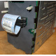 HP 365664-001 кабель SCSI для корзины 373108-001 / 359719-001 HP ML370G4 (Реутов)