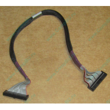 FDD-кабель HP 271946-006 для ML370 (Реутов)