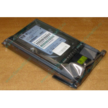 Жёсткий диск 146.8Gb HP 365695-008 404708-001 BD14689BB9 256716-B22 MAW3147NC 10000 rpm Ultra320 Wide SCSI купить в Реутове, цена (Реутов).
