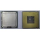 Процессор Intel Celeron D 336 (2.8GHz /256kb /533MHz) SL98W s.775 (Реутов)