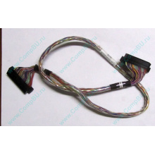6017B0045301 в Реутове, 68pin SCSI кабель 26.5" / 57cm для корзины HDD Intel SR2400 (Реутов)