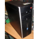 БУ компьютер HP Compaq Elite 8300 (Intel Core i3-3220 (2x3.3GHz HT) /4Gb /250Gb /ATX 320W) - Реутов