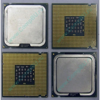Процессоры Intel Pentium-4 506 (2.66GHz /1Mb /533MHz) SL8J8 s.775 (Реутов)