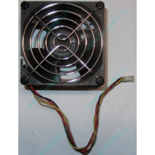 Вентилятор EFB0812HHE IBM 59P23B1 FRU 59P2572 (Реутов)