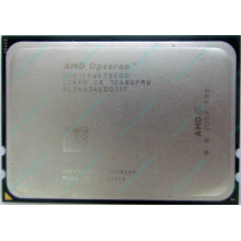 AMD Opteron 6128 OS6128WKT8EGO (Реутов)