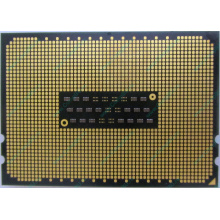 AMD Opteron 6128 OS6128WKT8EGO (Реутов)