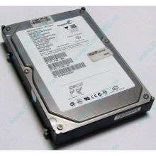 Жесткий диск 80Gb HP 345713-005 371580-002 345733-005 Seagate ST380013AS SATA (Реутов)