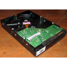 Жесткий диск 500Gb WD WD5000AAKX HP 634605-003 613208-001 7.2k SATA (Реутов)