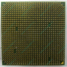 Процессор AMD Sempron 3000+ (1.6GHz) SDA3000IAA3CN s.AM2 (Реутов)